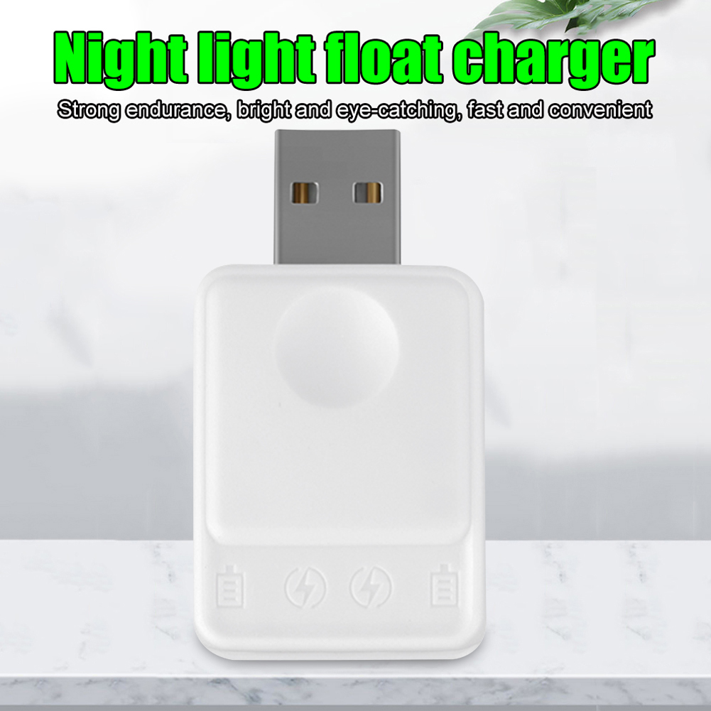 낚시 플로트 발광 충전식 CR425 배터리(2홀 USB - Fish Finder Charger 리뷰 및 가격